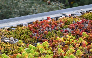 the cost of Sharcott green roof installation