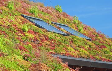Sharcott living roof systems