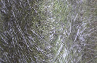 Sharcott fibreglass roof work