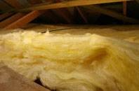 Sharcott pitch roof insulation